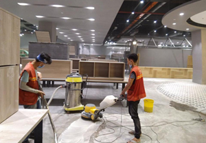 dự án dọn dẹp số 1